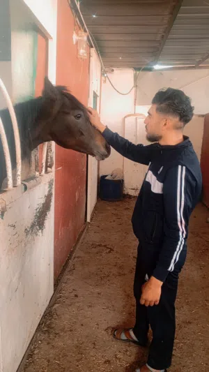 عادل نعمه 