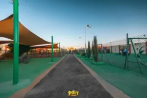 فندق للقطط والكلاب الاكبر في الأردن والوحيد المرخص بفرعيه ..المطار قريه الحجره و فرع زيزيا