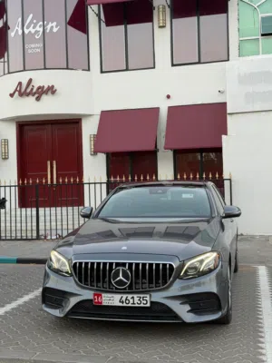 E300 Model 2018