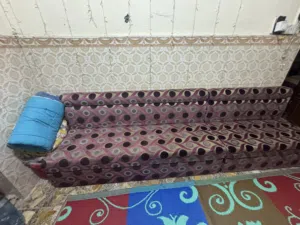 تخم قنفات للبيع
