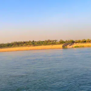 ali ali