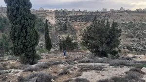 ارض للبيع في دورا ،الصره