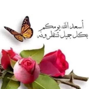 عمر اليحيائي