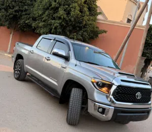 تندرا توندرا 2015