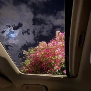 الحمدلله 