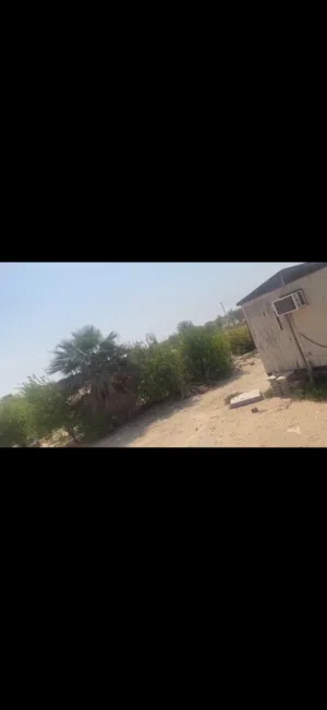 للبيع مزرعه فى الباهيه الجديده فيها سكن عمال ومسوره بشبك بالقرب من الشارع