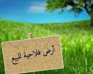 إعلااااااان أرض كبيرة وباهية للبيع فرصة استثمارية ما تتعوضش!