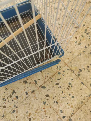 قفص ببغاء فيه كسره بسيطة بس مش ماءتر فيه