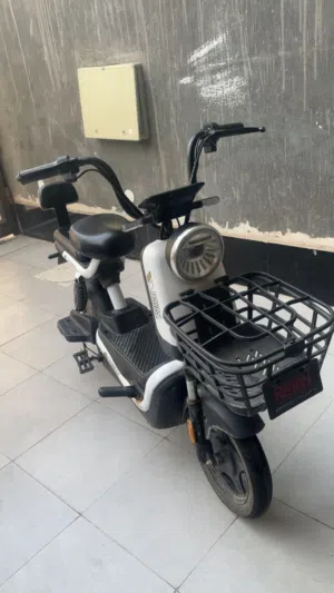 دراجة شحن 14 الريان