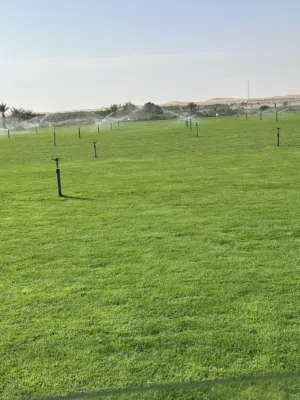 عشب طبيعي متاح توريد وتركيب بافضل سعر بفضل الله