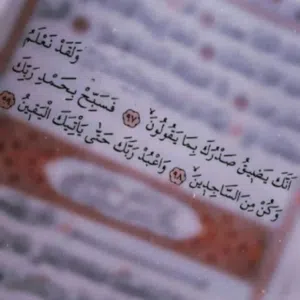 الحمدلله دائما وابدا 