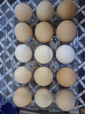 Eggs 15 per pack