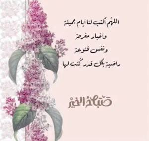 ابحث عن غرفه نضيفه