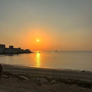 ابوحمد 
