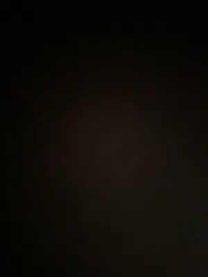 مطلوب طير للتبني