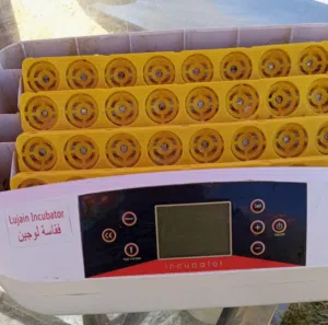 فقاسه لوجين 32 بيضه للبيع
