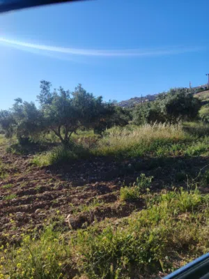 Residential Land for Sale in Jerash Marsa'