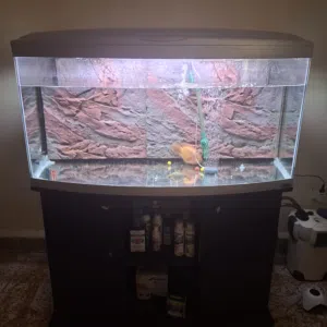 big tank with external filter