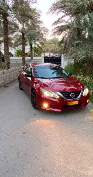 Used Nissan Altima in Al Dakhiliya
