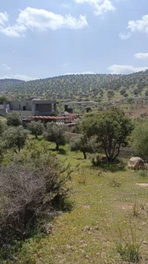 Mixed Use Land for Sale in Zarqa Al-Alouk