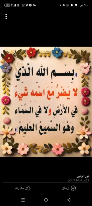 صيصان بلدي الواحد بليرتين عمر شهرين و أسبوع
