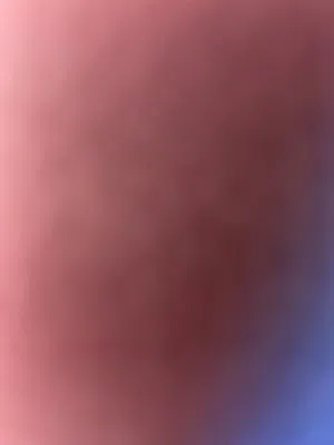 مطلوب كبش اسود