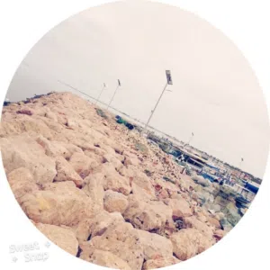 احمد العطوي 