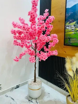 ‏نباتات اصطناعية ‏.‏ جديد‏0