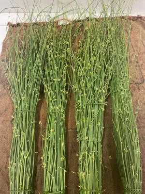 ‏خضار وفواكه‏3