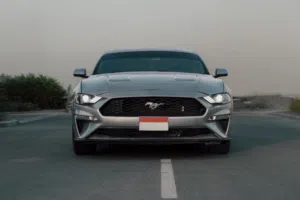 2020 Ford Mustang EcoBoost (Performance & Style)
