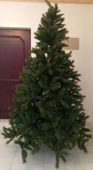 شجرة عيد الميلاد للبيع