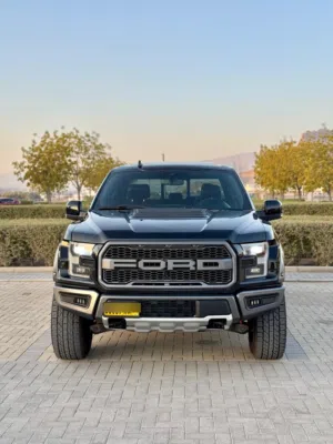 Used Ford F-150 in Al Dakhiliya
