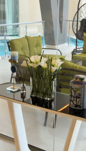 يومي . 550 م٢4