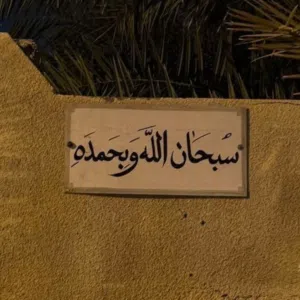 محمد احمد 