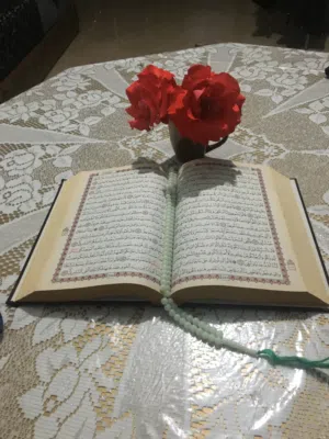 نبيلة مسامح 