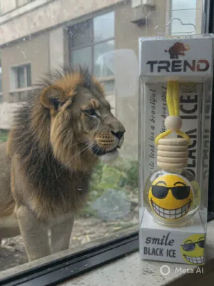 فواحة عربية ماركة ترند حجم 10مللى Trend Air Fresheners