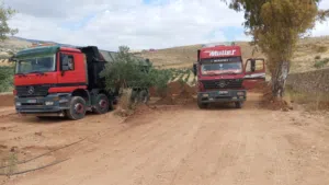 تعهدات واستصلاح الأراضي