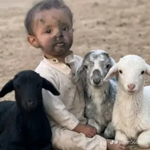 محمد 