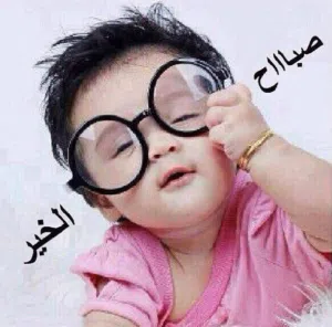 حسام الدين مصطفى طه 