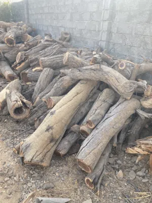 حطب سمر للبيع