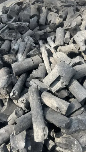 فحم مشاوي نخب اول للتصدير