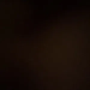 باشا 
