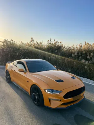 Used Ford Mustang in Muscat