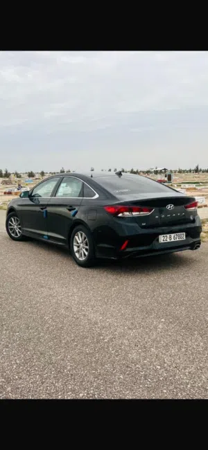 سوناتا 2019