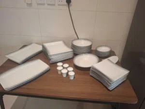 Elegant Zarin Porcelain Dinnerware Set (12-Person) – Excellent Condition