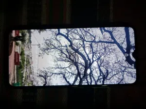 ZTE Blade Series 64 GB in Irbid