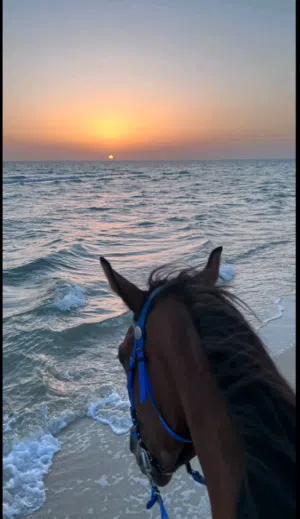 يوسف بن سالم بن مبارك العامري 