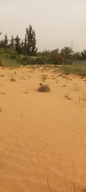 قطعة أرض سكنيه