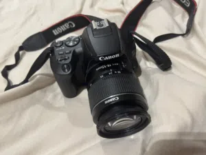 قابل للتفاوض Canon EOS 250D للبيع