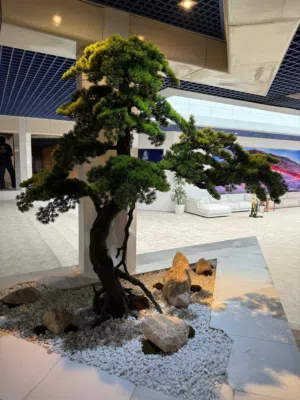 توفير جميع أنواع النباتات الطبيعية و الصناعية